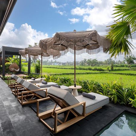 Villa Black Pearl By Balisuperhost Ubud  Luaran gambar