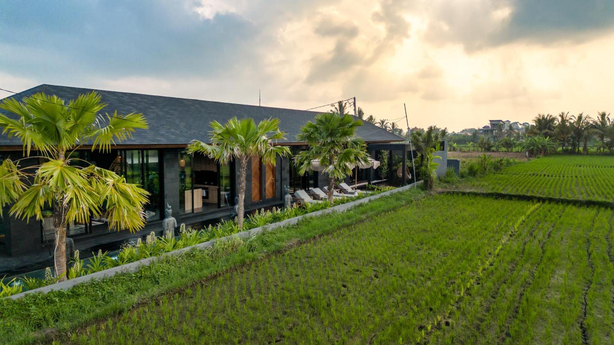 Villa Black Pearl By Balisuperhost Ubud  Luaran gambar