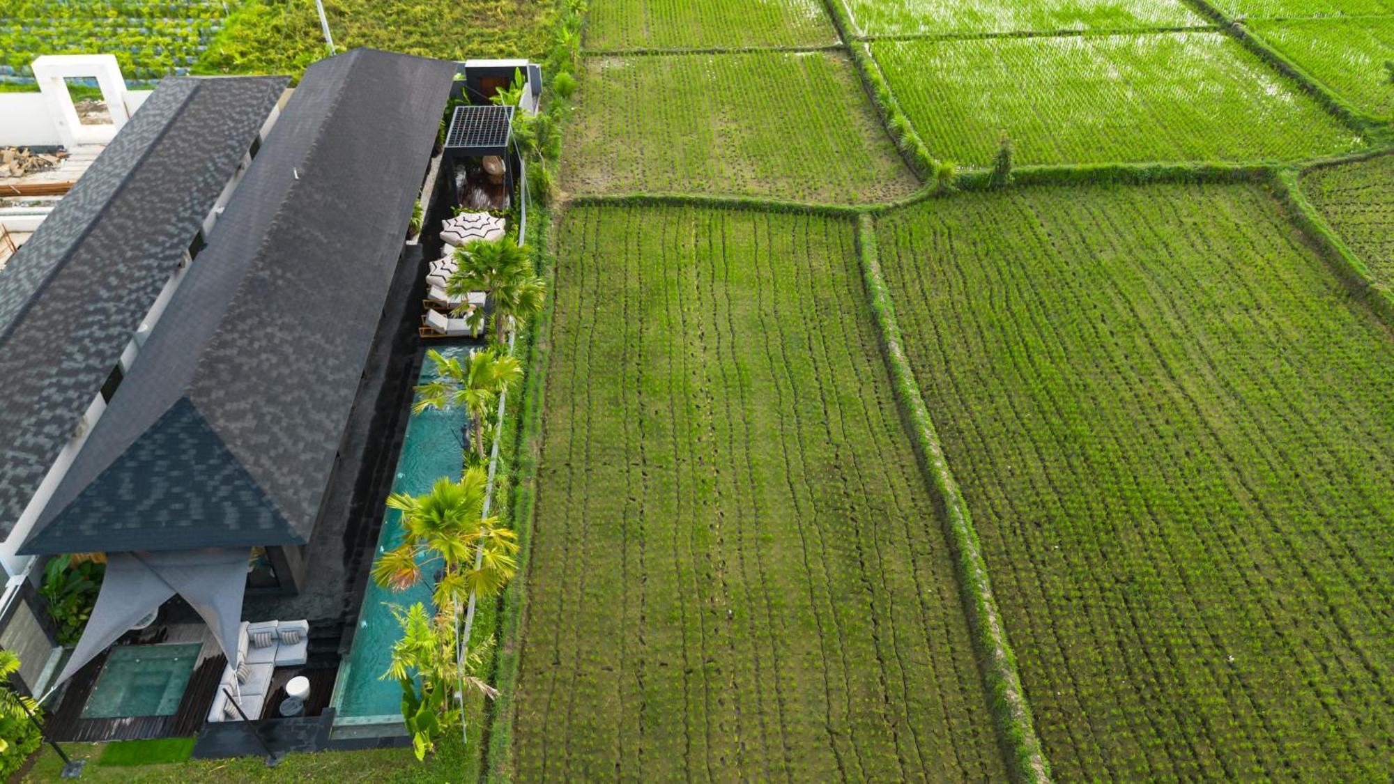 Villa Black Pearl By Balisuperhost Ubud  Luaran gambar
